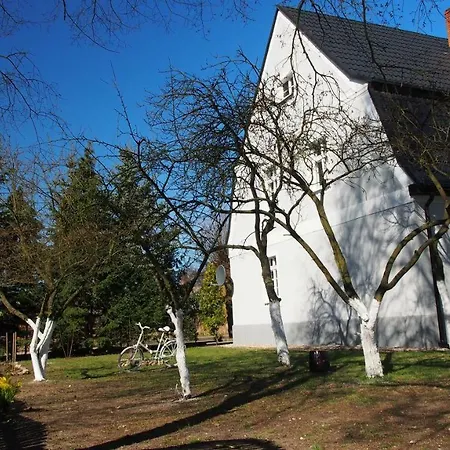 Semesterbostad Dom W Wieleniu
