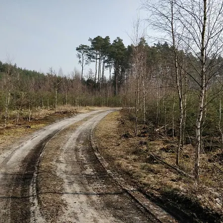 Dom W Wieleniu Ferienhaus Wielen
