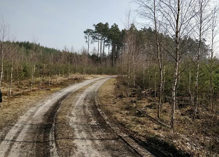 Dom W Wieleniu Ferienhaus Wielen