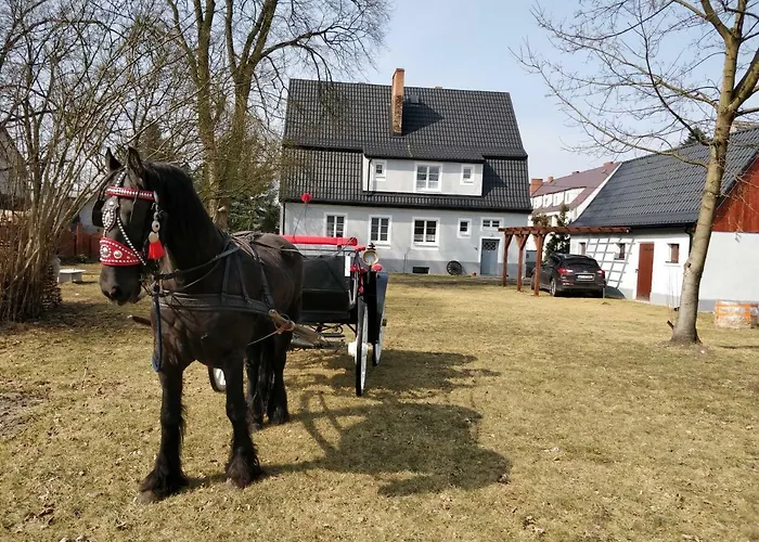 Dom W Wieleniu Ferienhaus Wielen