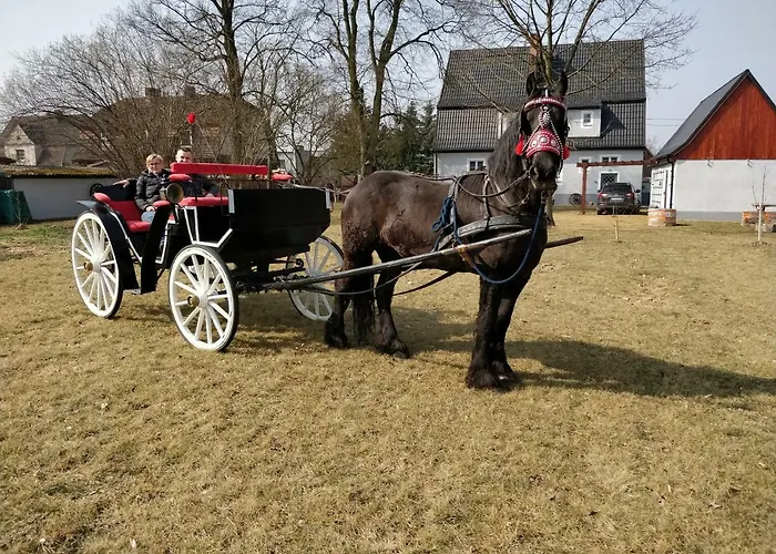 Ferienhaus Dom W Wieleniu